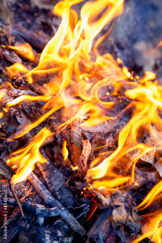 Fire background. Abstract image of wildfire. Danger concept. Fire background. Abstract image of wildfire. Danger concept.