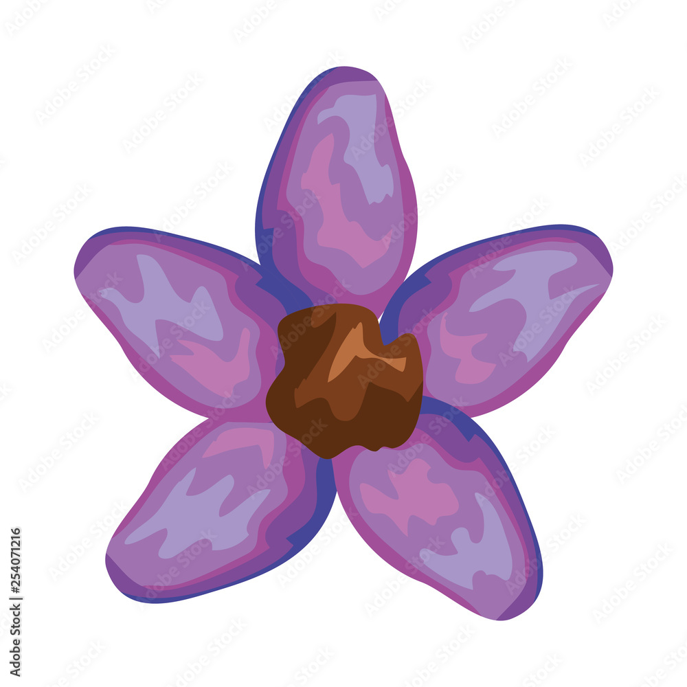 beautiful flower decorative icon beautiful flower decorative icon