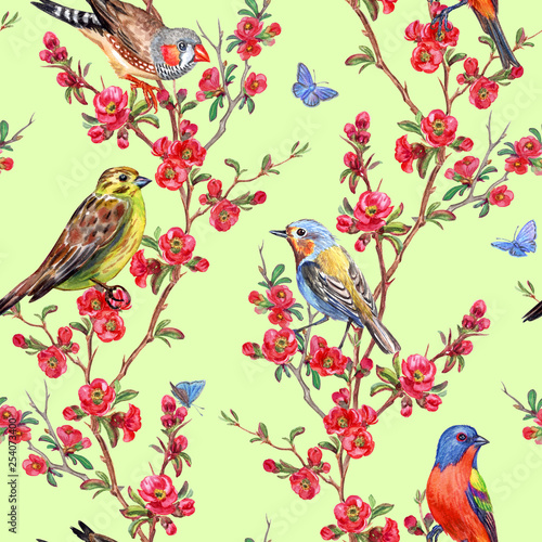 Photography Seamless pattern of birds and quince blossoms on a light green background, spring print for fabric, background for different designs