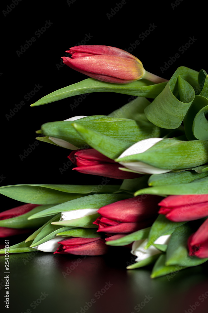 Tulips in a bouquet on a dark background Tulips in a bouquet on a dark background
