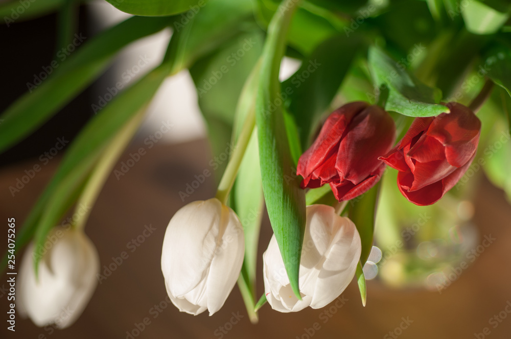 Tulips in a bouquet on a blurred background Tulips in a bouquet on a blurred background