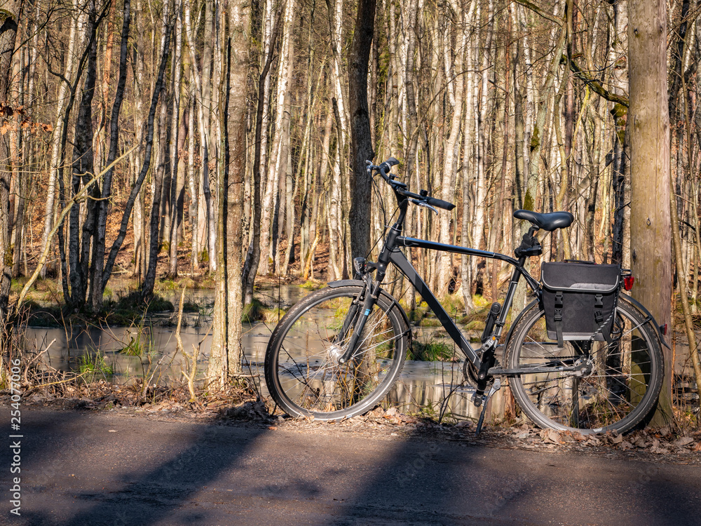 Bicycle on the trail in the forest, autumn season.