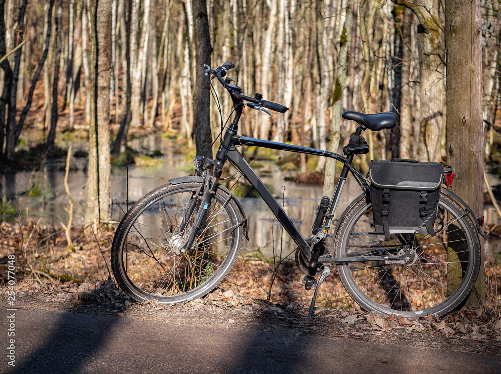 Bicycle on the trail in the forest, autumn season.
