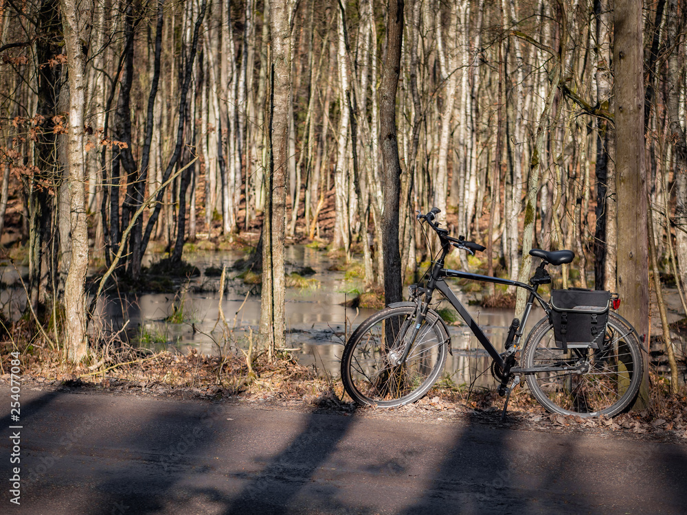 Bicycle on the trail in the forest, autumn season.