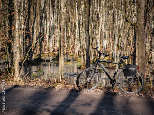 Obraz na płótnie Bicycle on the trail in the forest, autumn season. w salonie