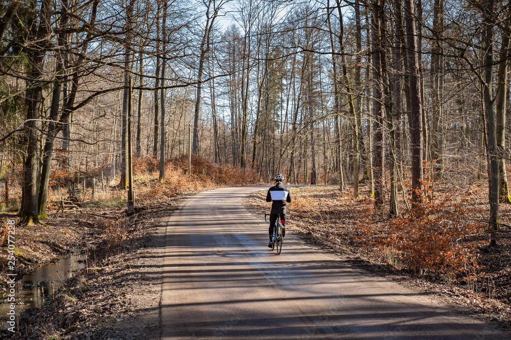 Cyclist Riding the Bike on the Trail in the Beautiful Autumn Forest