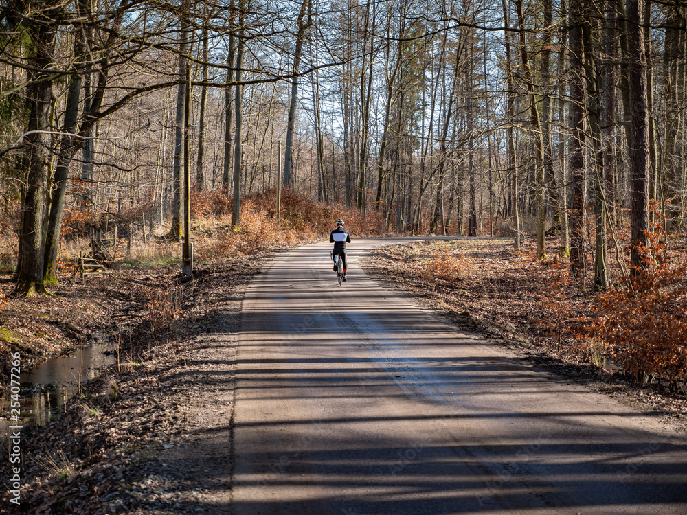 Cyclist Riding the Bike on the Trail in the Beautiful Autumn Forest