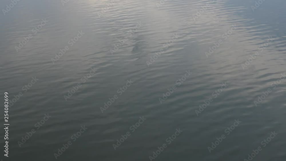 POV: Jumping into the lake from wooden bridge. Gimbal shot. POV: Jumping into the lake from wooden bridge. Gimbal shot.