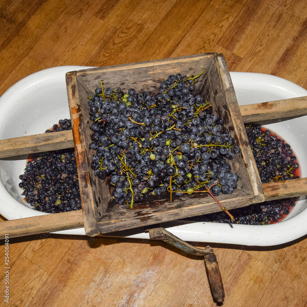 Manual mechanism for crushing grapes. Crush the grapes into juice and wine Manual mechanism for crushing grapes. Crush the grapes into juice and wine