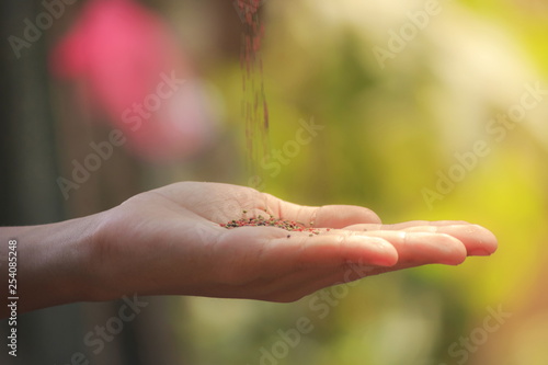 The image of a hand on natural background blur.