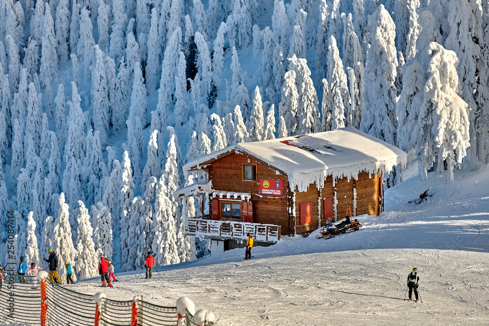 Naklejka premium Poiana Brasov, Romania -16 January 2019: Skiers and snowboarders enjoy the ski slopes whit forest covered in snow on winter season,Romania,Europe