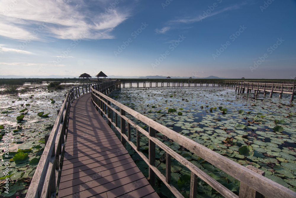 Fototapeta premium Lotus lake at Sam Roi Yot National park