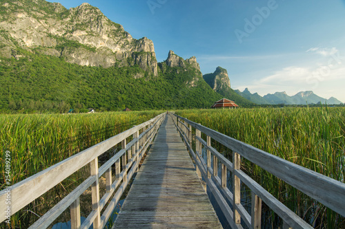 lotus lake at Sam Roi Yot National park photo