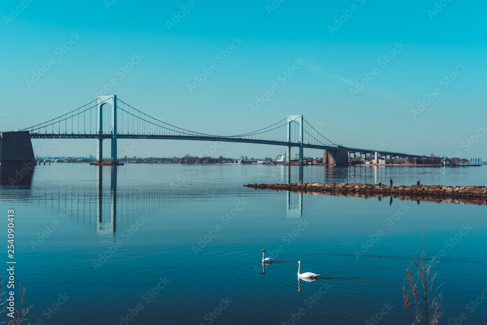 Throgs Neck Bridge with two swans swimming in foreground
