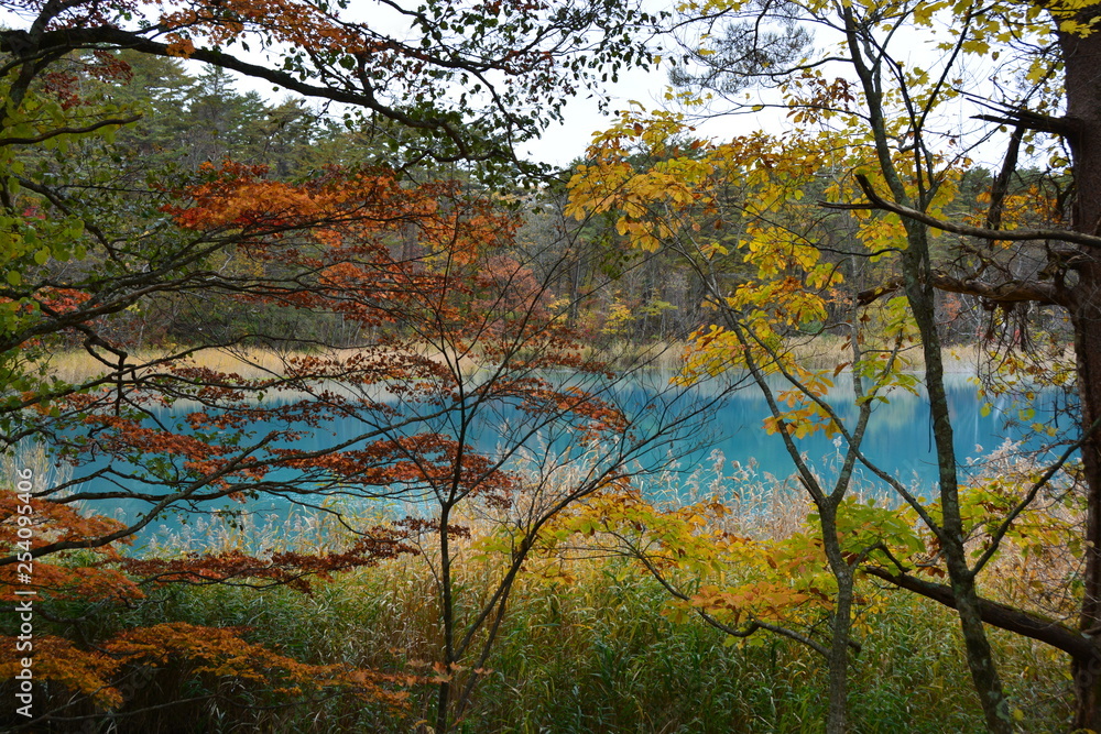 福島県の五色沼の景観