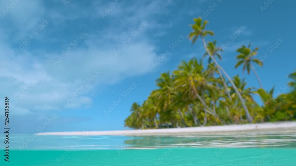 SLOW MOTION, HALF IN HALF OUT, DOF : Idyllic shot of blurred palm trees and the tranquil turquoise ocean on a sunny day. Pristine white sand shoreline in the Caribbean is covered with lush palms. SLOW MOTION, HALF IN HALF OUT, DOF : Idyllic shot of blurred palm trees and the tranquil turquoise ocean on a sunny day. Pristine white sand shoreline in the Caribbean is covered with lush palms.