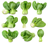 Bok choy isolated on white clipping path