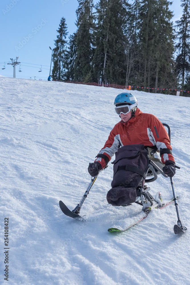 Man with disability and Winter Sports, handicapped persons and Mono Ski,  handicapped racer goes downhill on mono ski Stock Photo