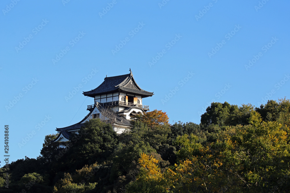Fototapeta premium 晩秋の犬山城