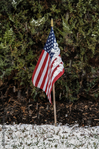 Flag in snow