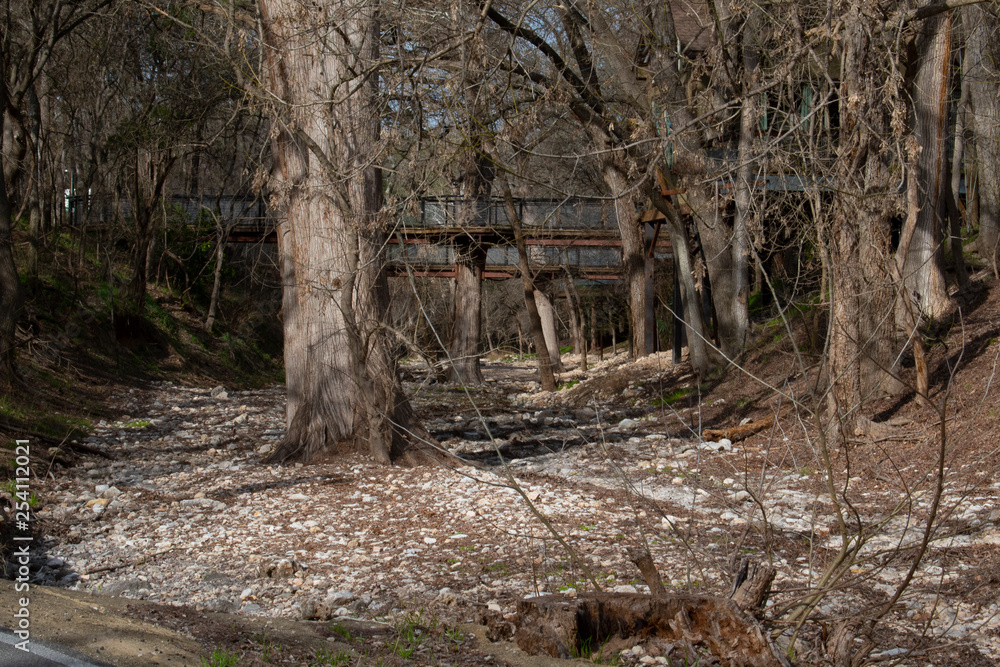 Obraz premium Footbridge