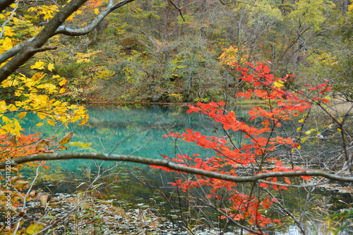 Fototapeta Naklejka Na Ścianę i Meble -  福島県の五色沼の景観
