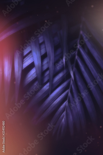 Fototapeta Naklejka Na Ścianę i Meble -  Deep dark purple palm leaves pattern