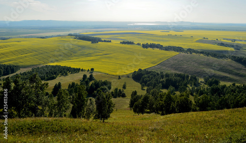 Landscape with green field and blue sky © Илона Янкаускайте