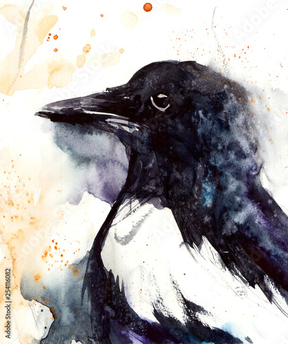 Raven. Watercolor illustration photo