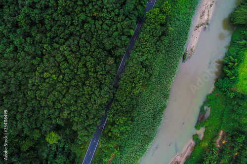 Aerial view of road in tropical green forest