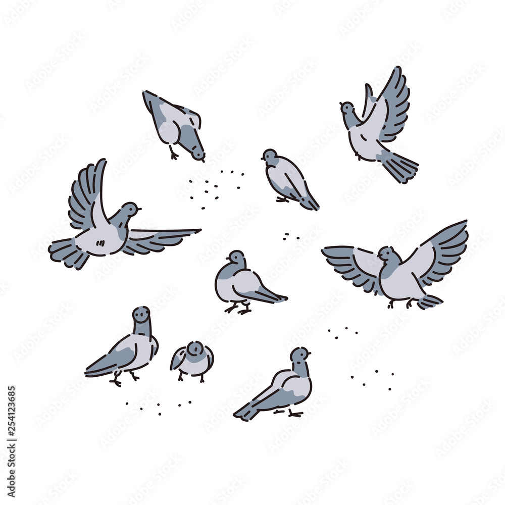 Flock of urban wild pigeons pecks seeds. Vector line art set of