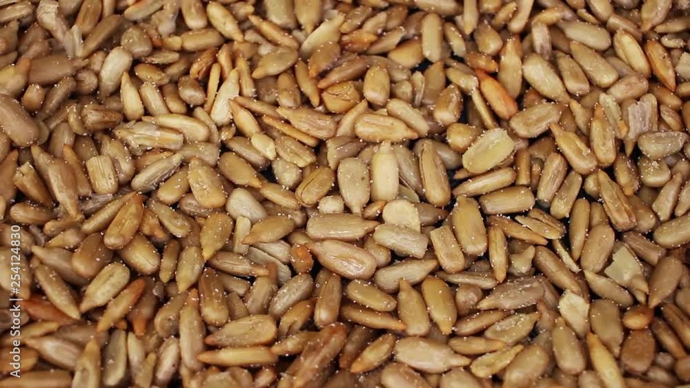 Sunflower seeds seed closeup texture video on rolling rotating looping plate Sunflower seeds seed closeup texture video on rolling rotating looping plate