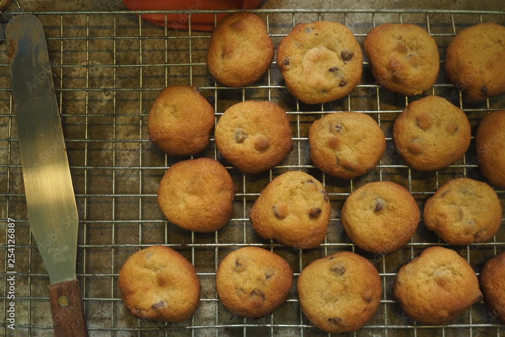 soft chocolate chip cookies soft chocolate chip cookies