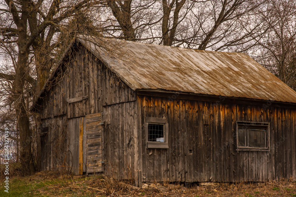 Old Barn Weathered Wood under a Tree on grass