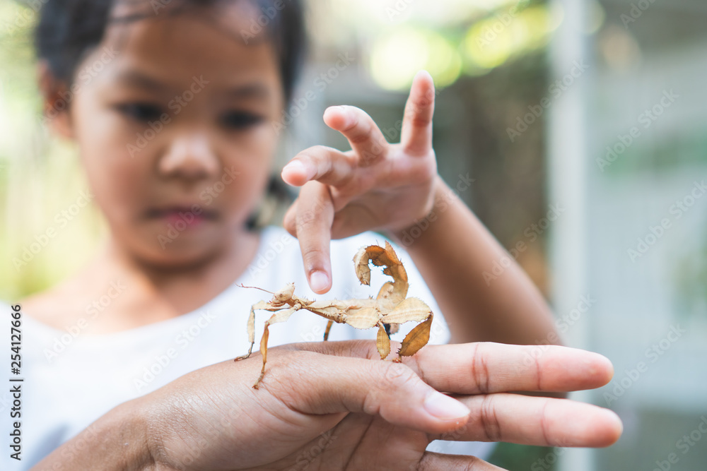 Obraz premium Cute asian child girl looking and touching leaf grasshopper that stick on parent hand with curious and fun in the zoo