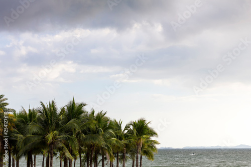 coconut tree on beach at coast and many cloud in sky in holiday at evening