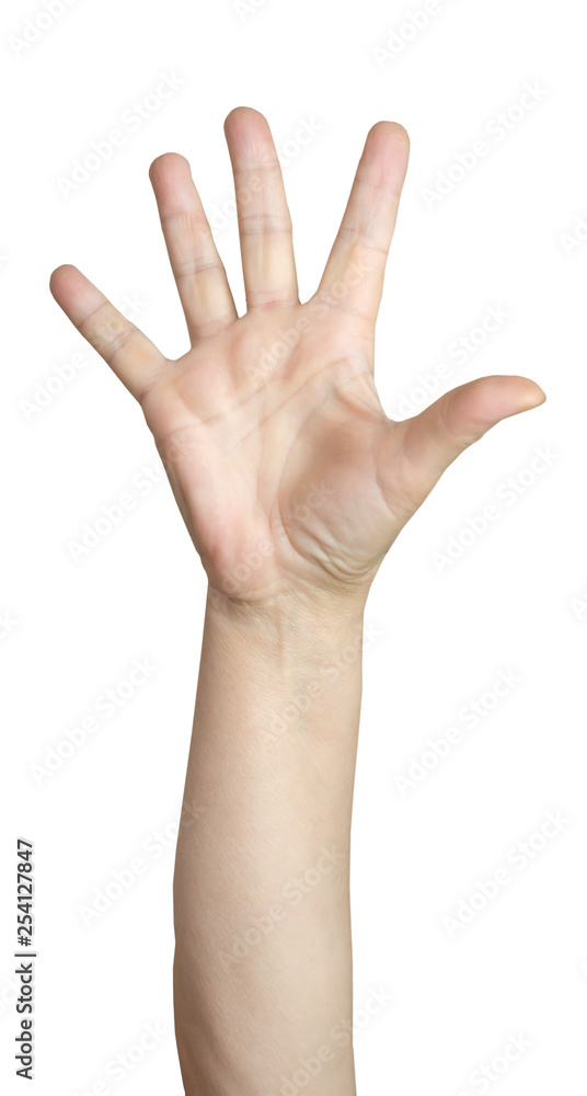 Open hand of a woman Open hand of a woman