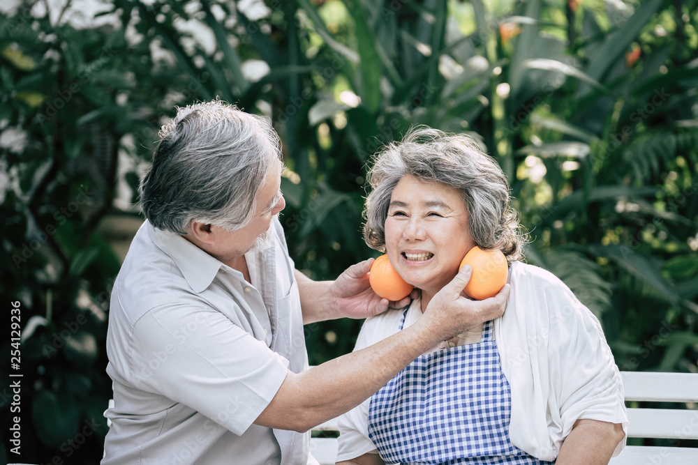 Elderly couples Cooking Healthy food together Elderly couples Cooking Healthy food together