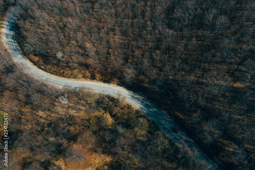 Forest view from above