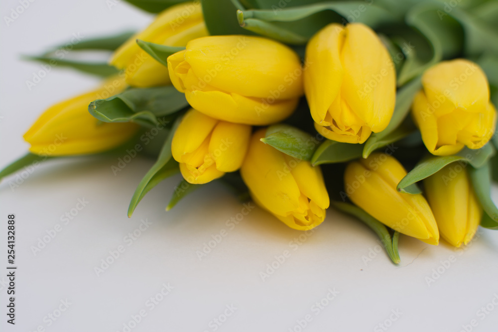Obraz premium Bouquet of yellow tulips on a white background