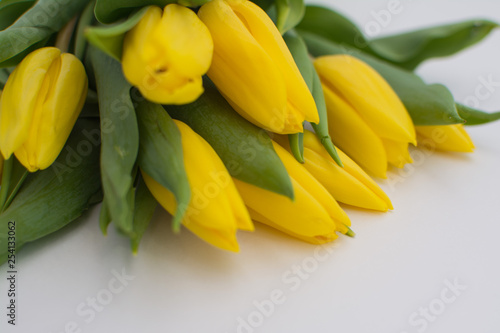 Bouquet of yellow tulips on a white background