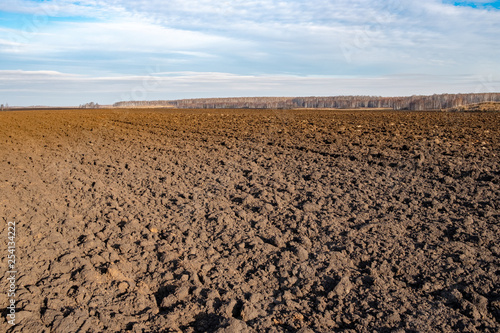 plowed field to the horizon line under the sky with clouds, large pieces of land and dry grass