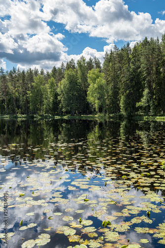 Fototapeta Naklejka Na Ścianę i Meble -  calm lake in bright sun light with reflections of clouds and trees and blue sky