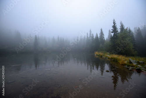 tourist hiking trail in foggy misty day with rain