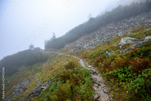 tourist hiking trail in foggy misty day with rain