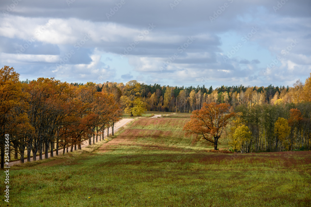 empty countryside fields in late autumn