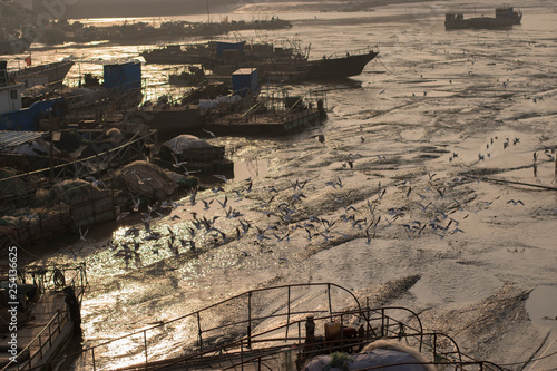 Boats at the seaside. China. Lianyungang. 