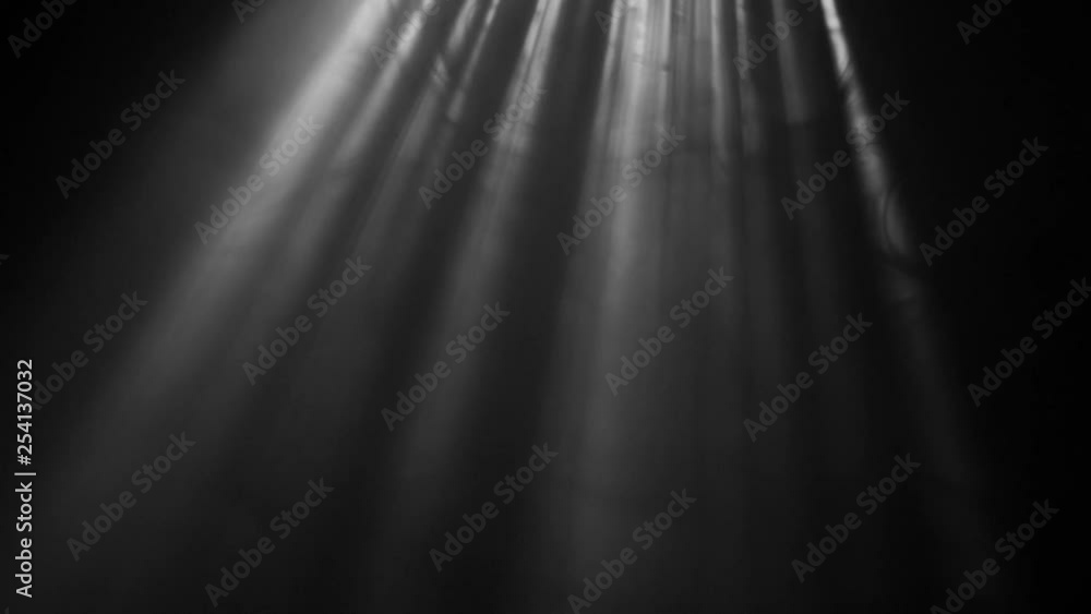 Rays of Sun Rays of Sun