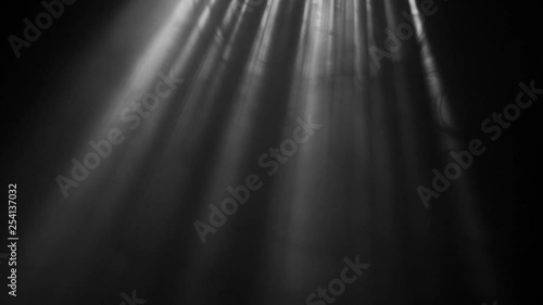 Rays of Sun