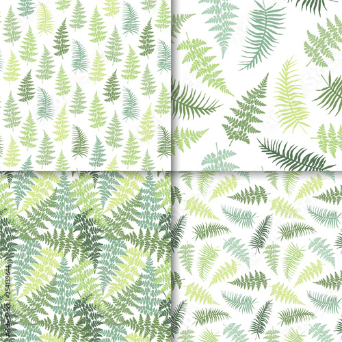 Fern frond herbs, tropical forest plant leaves vector wrapping paper patterns set.